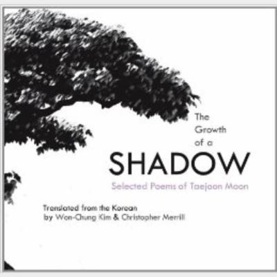 The Growth of a Shadow