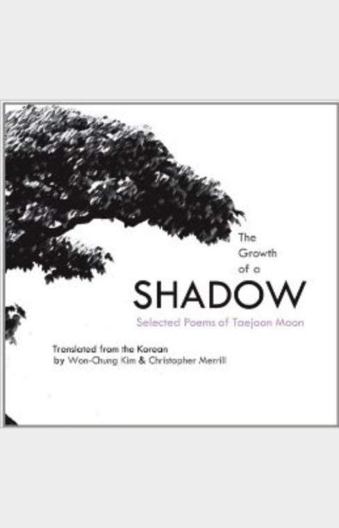 The Growth of a Shadow