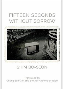 Fifteen Seconds Without Sorrow