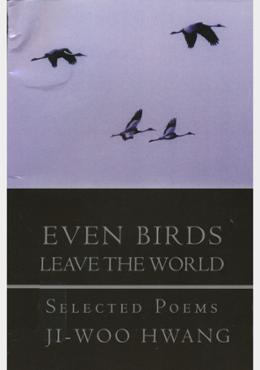 Even Birds Leave the World