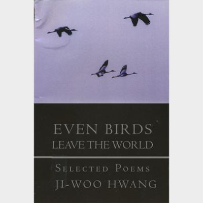 Even Birds Leave the World