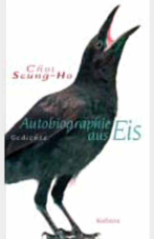 Autobiographie aus Eis